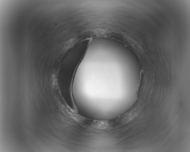 X0000062900768200601131043