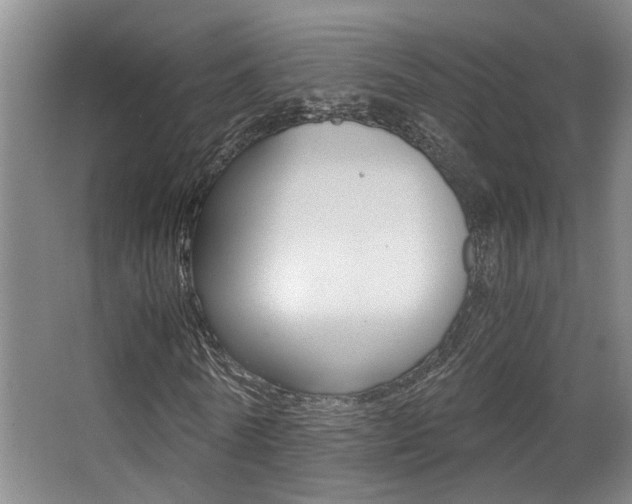 X0000062900770200601131042