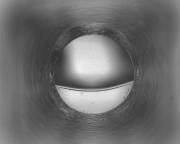 X0000062900771200601131042
