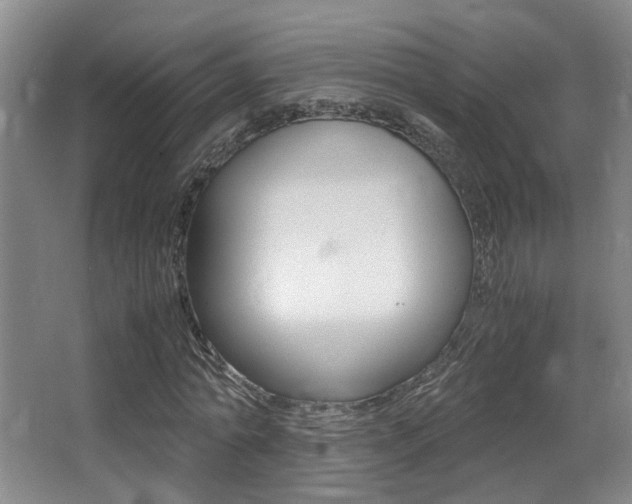 X0000062900774200601131042