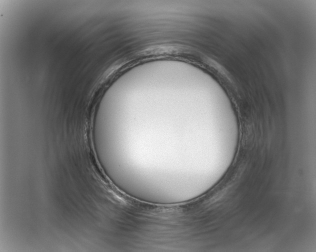 X0000062900778200601131042