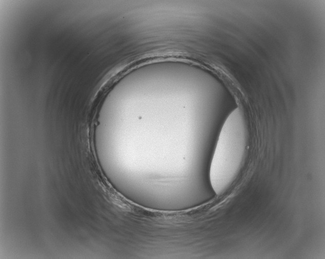 X0000062900781200601131042
