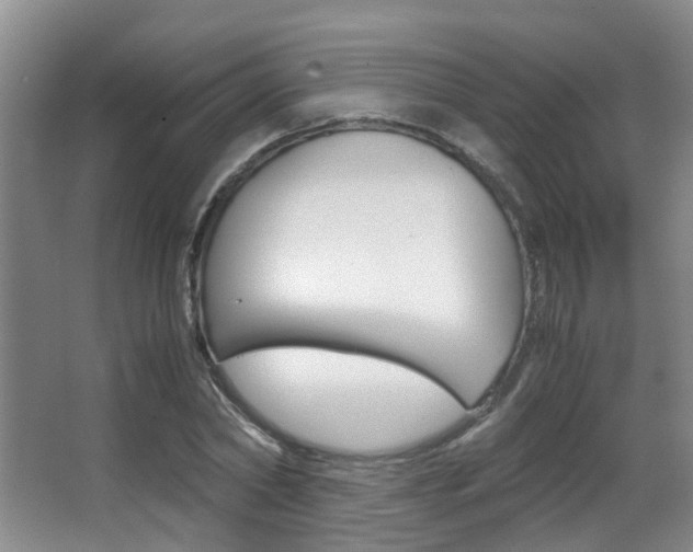 X0000062900782200601131042