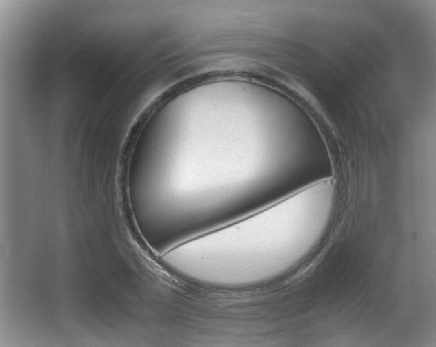 X0000062900783200601131042