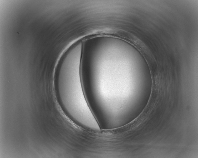 X0000062900784200601131042