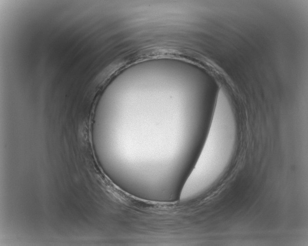 X0000062900785200601131042