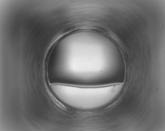 X0000062900787200601131042