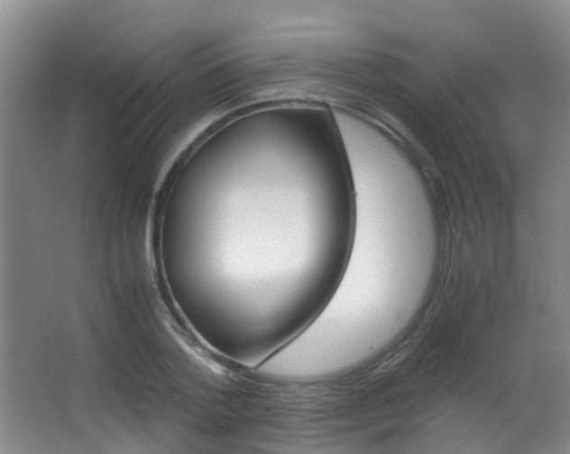 X0000062900788200601131042