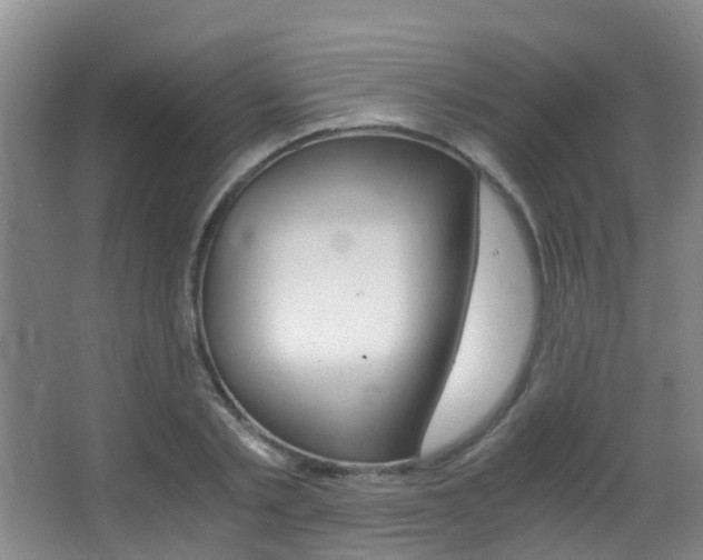 X0000062900789200601131042