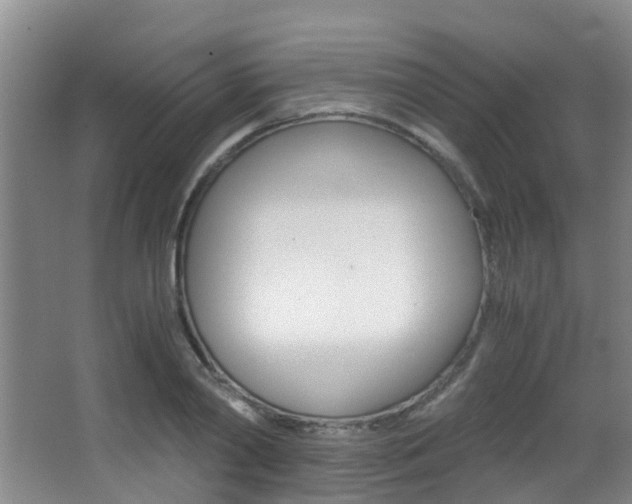 X0000062900790200601131042