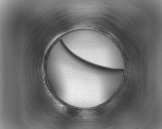 X0000062900796200601131042