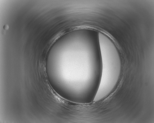 X0000062900809200601131042