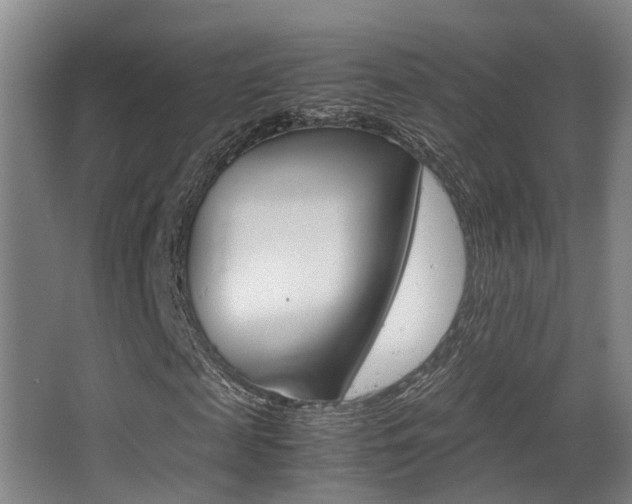 X0000062900817200601131041