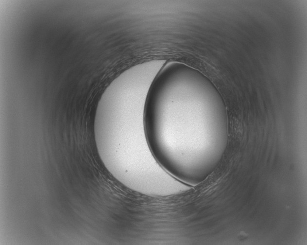 X0000062900818200601131041