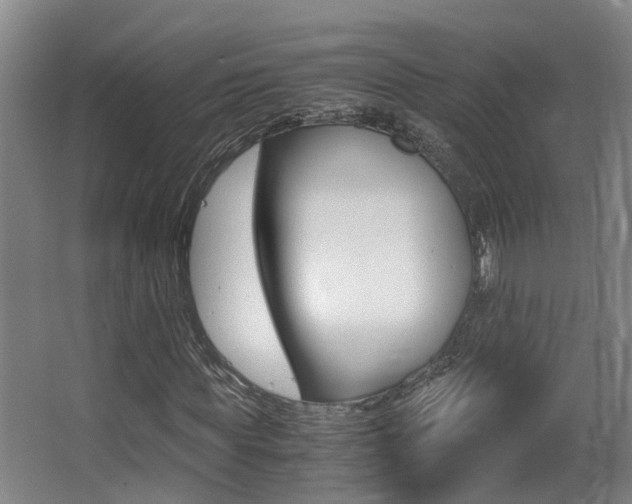 X0000062900819200601131041
