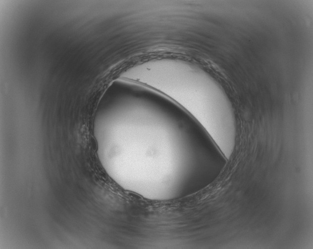 X0000062900821200601131041