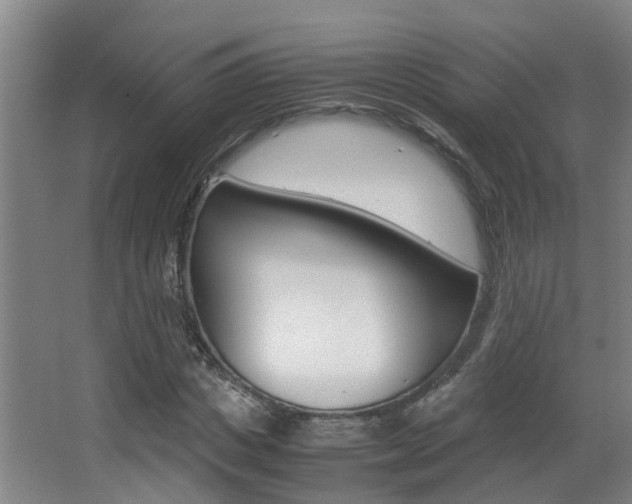 X0000062900825200601131041