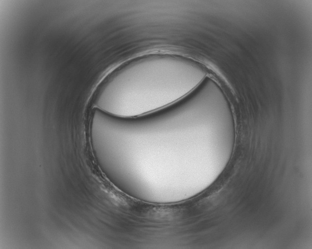 X0000062900829200601131041