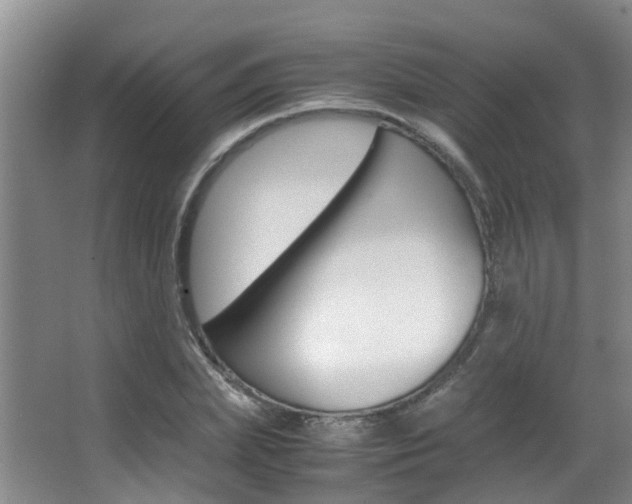 X0000062900831200601131041