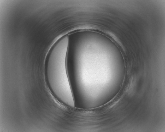 X0000062900837200601131041