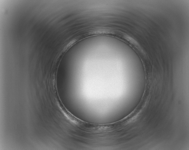 X0000062900841200601131041