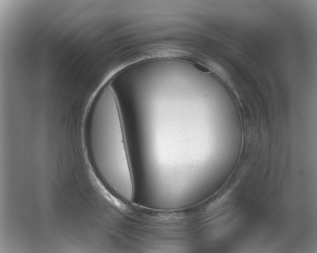 X0000062900843200601131041