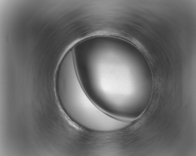 X0000062900854200601131041