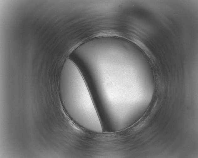 X0000062900857200601131042