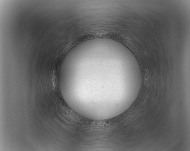 X0000062900866200601131041