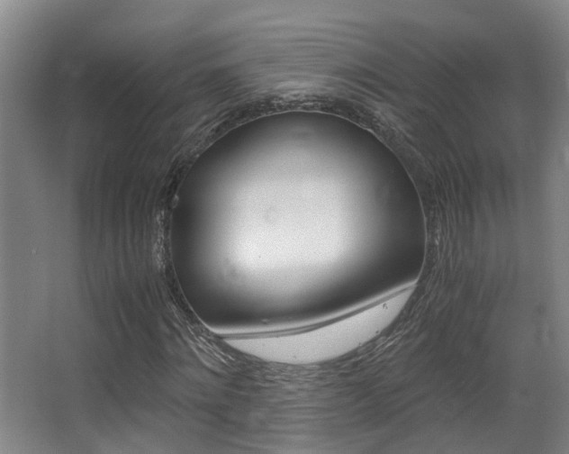 X0000062900868200601131041