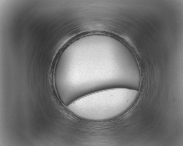 X0000062900879200601131041