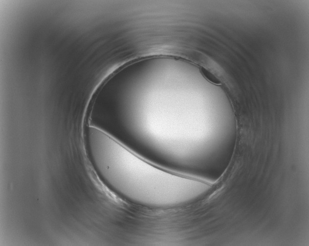X0000062900892200601131040