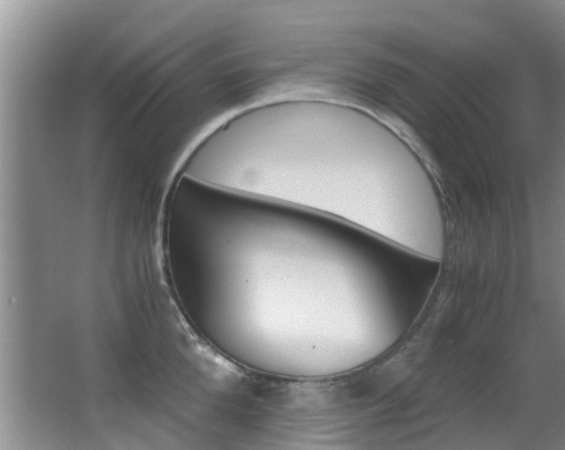 X0000062900904200601131040