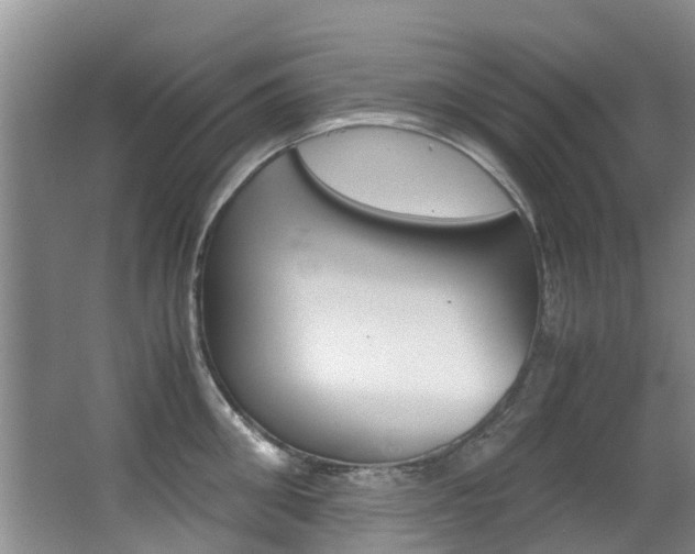 X0000062900906200601131040