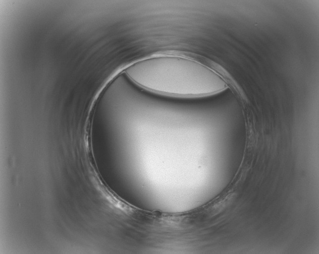 X0000062900908200601131040