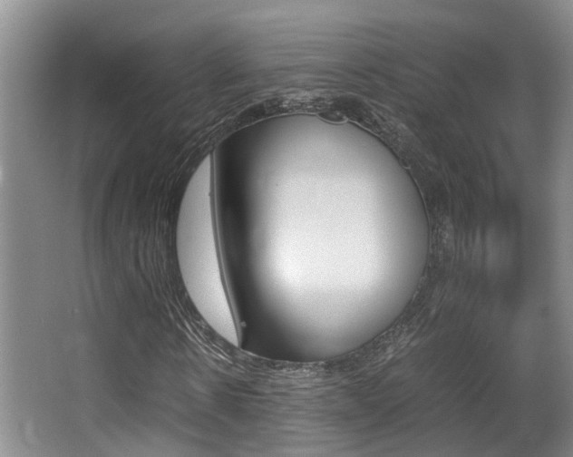 X0000062900914200601131039