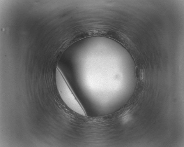 X0000062900915200601131039