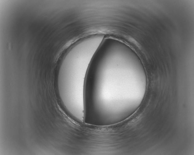 X0000062900922200601131039