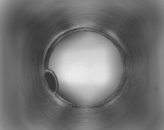 X0000062900924200601131039