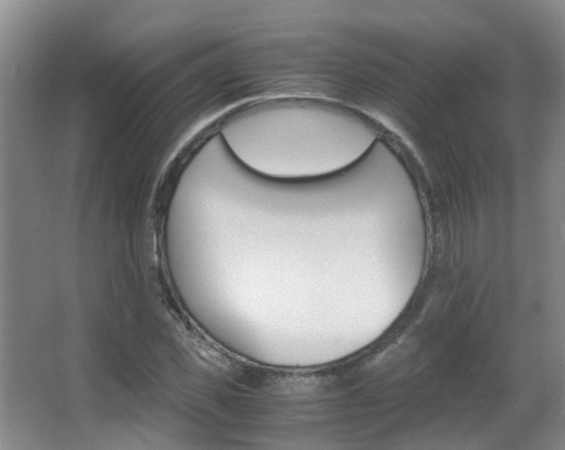 X0000062900925200601131039