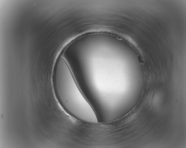 X0000062900943200601131040