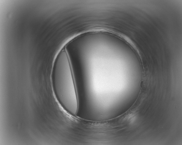 X0000062900951200601131040