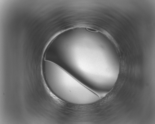 X0000062900955200601131040