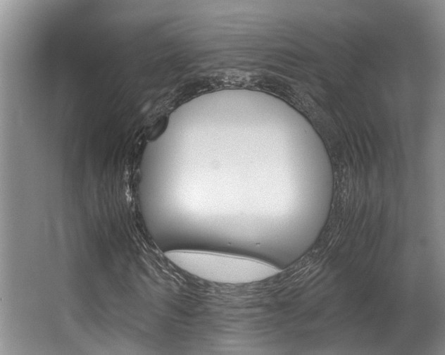 X0000062900962200601131039
