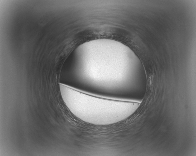 X0000062900963200601131039