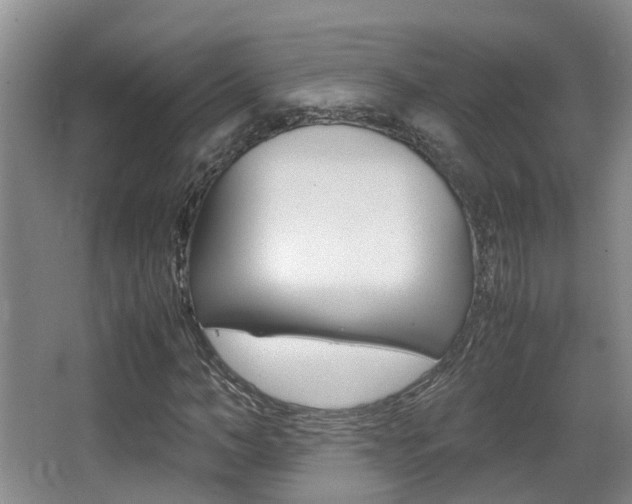 X0000062900966200601131039
