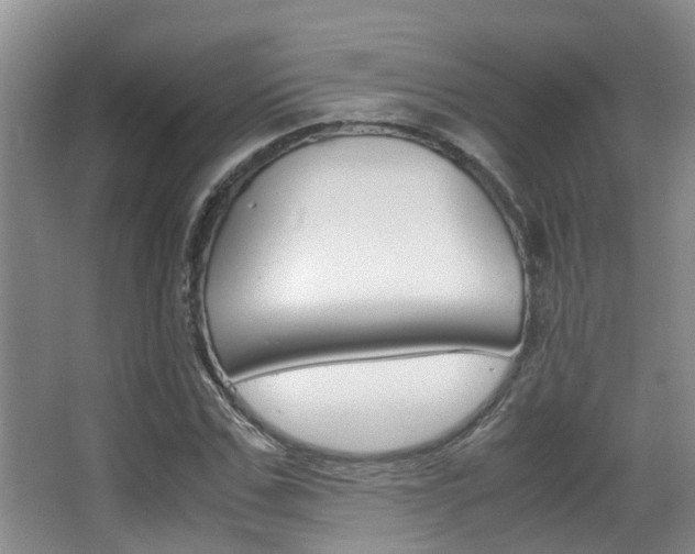 X0000062900971200601131039