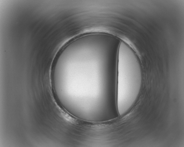 X0000062900988200601131039