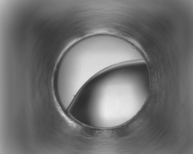 X0000062900991200601131039