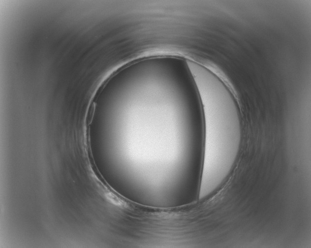 X0000062900996200601131039